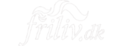 LAZZAWEB x Friliv