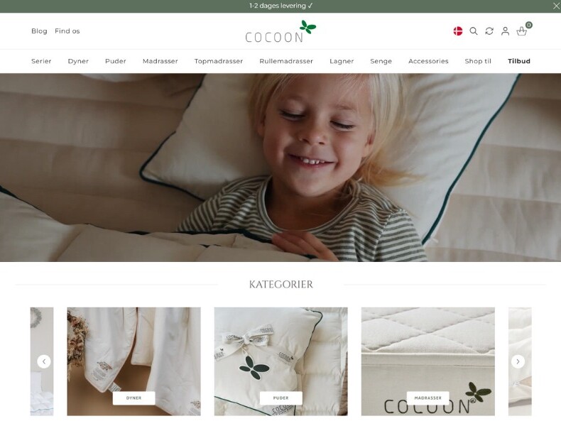 LAZZAWEB x Cocoon